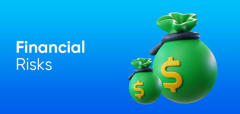 Financial Risks