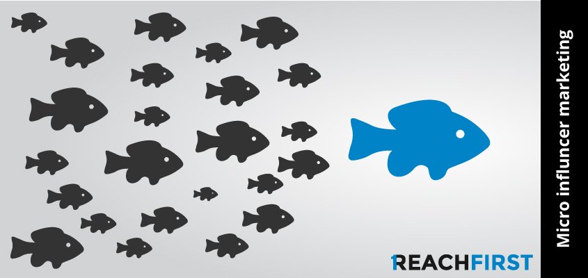 How to Set Up a Successful Micro-Influencer Campaign