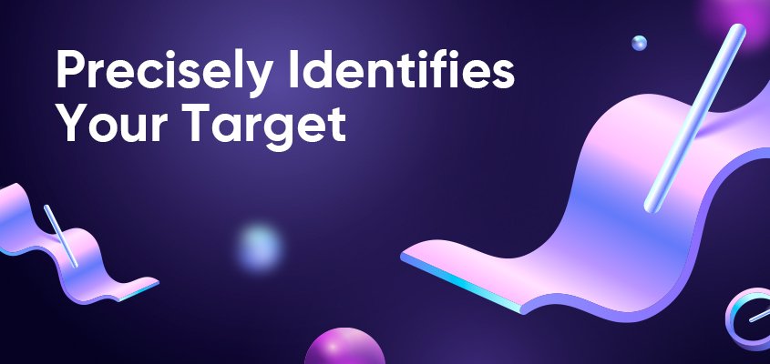 Precisely Identifies Your Target Audience